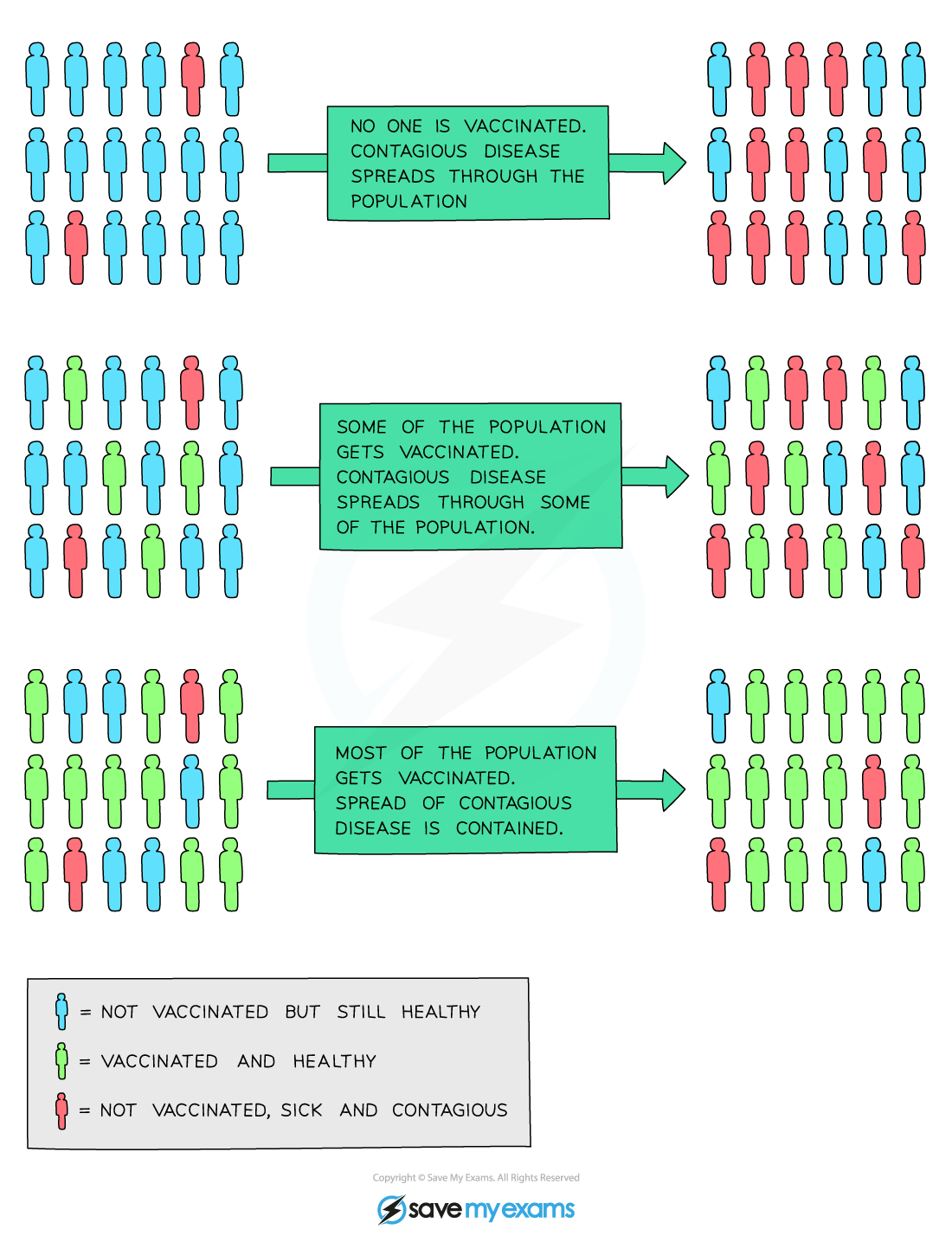 Herd_immunity, IGCSE & GCSE Biology revision notes