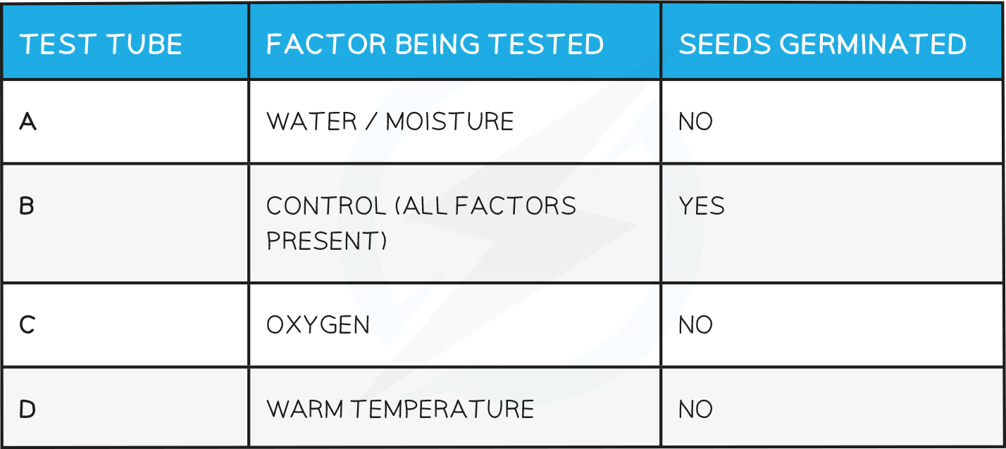 Conditions for germination results table, IGCSE & GCSE Biology revision notes