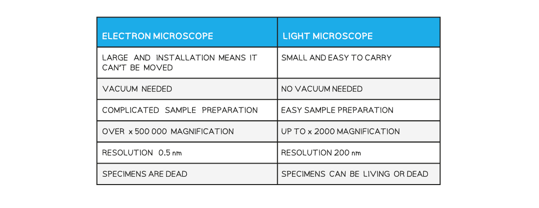 Comparison of the Electron Microscope and Light Microscope table, AS & A Level Biology revision notes