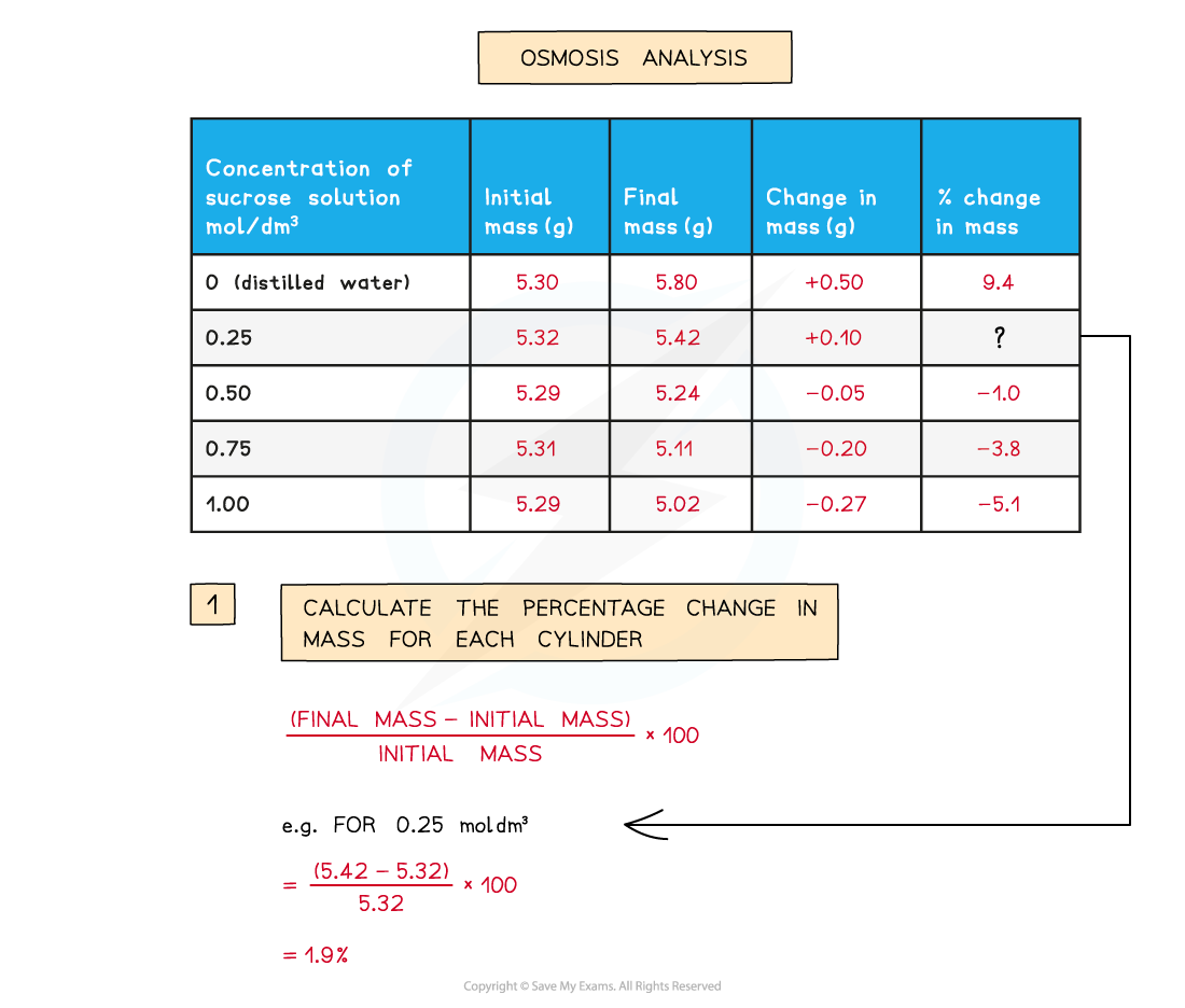 Osmosis Analysis_1, downloadable IGCSE & GCSE Biology revision notes