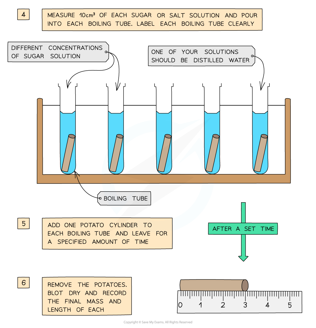 Osmosis Method_3, downloadable IGCSE & GCSE Biology revision notes