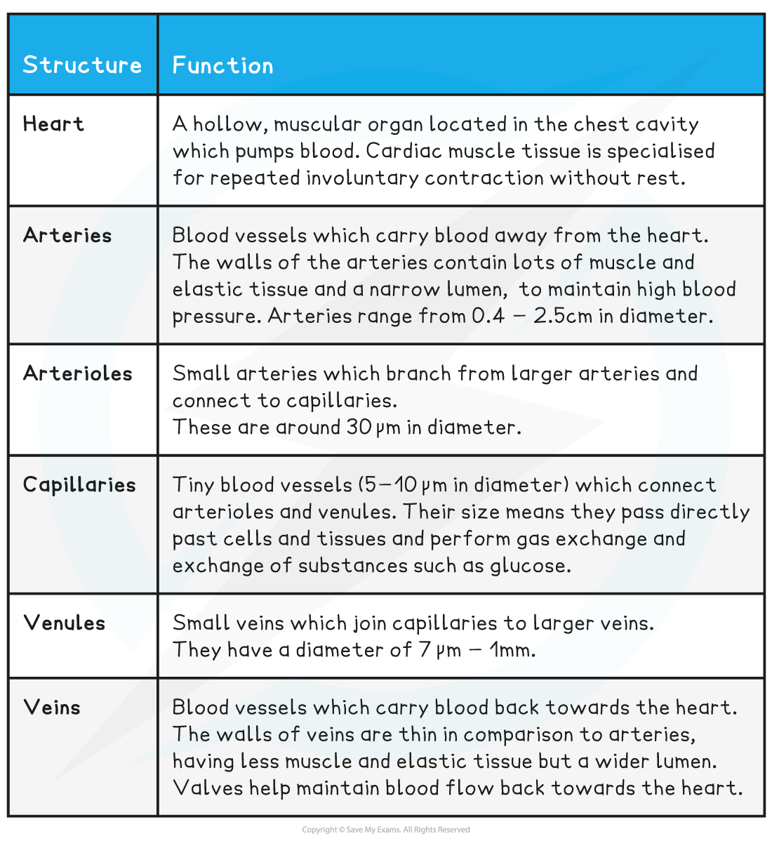 1. Closed Double Circulatory System Table, downloadable AS & A Level Biology revision notes