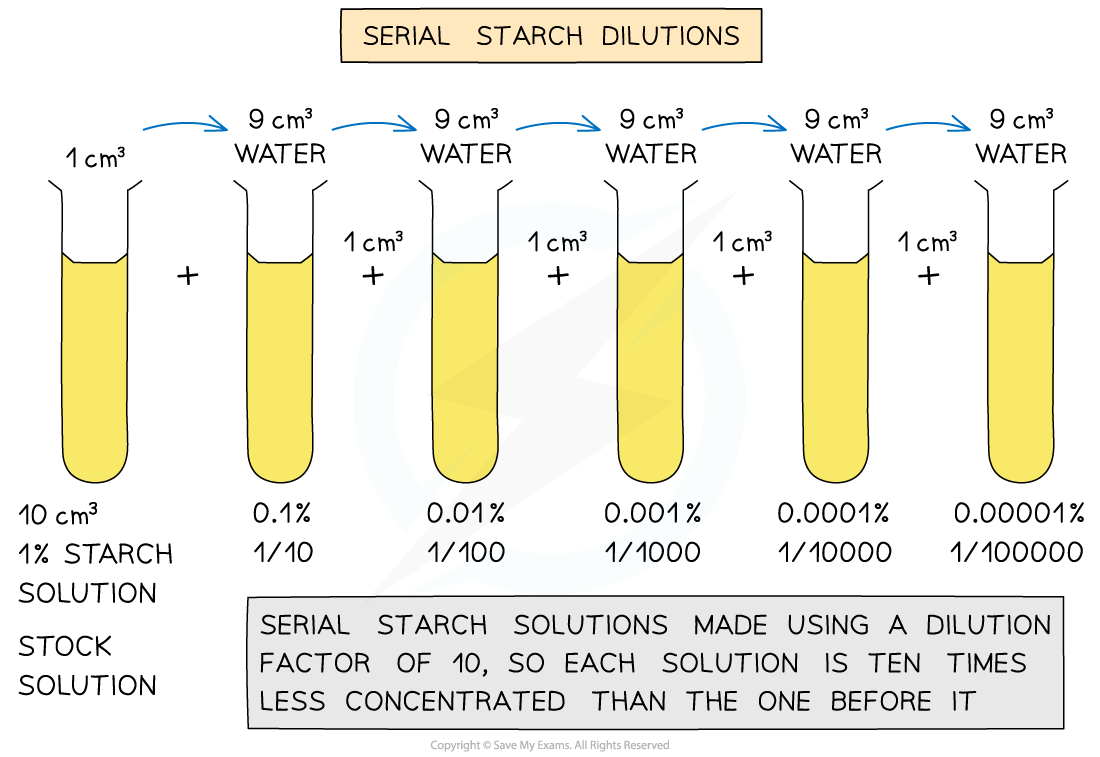 Serial dilutions, downloadable AS & A Level Biology revision notes