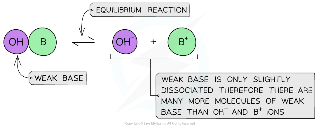 Equilibria Dissociation of a Weak Base, downloadable AS & A Level Chemistry revision notes