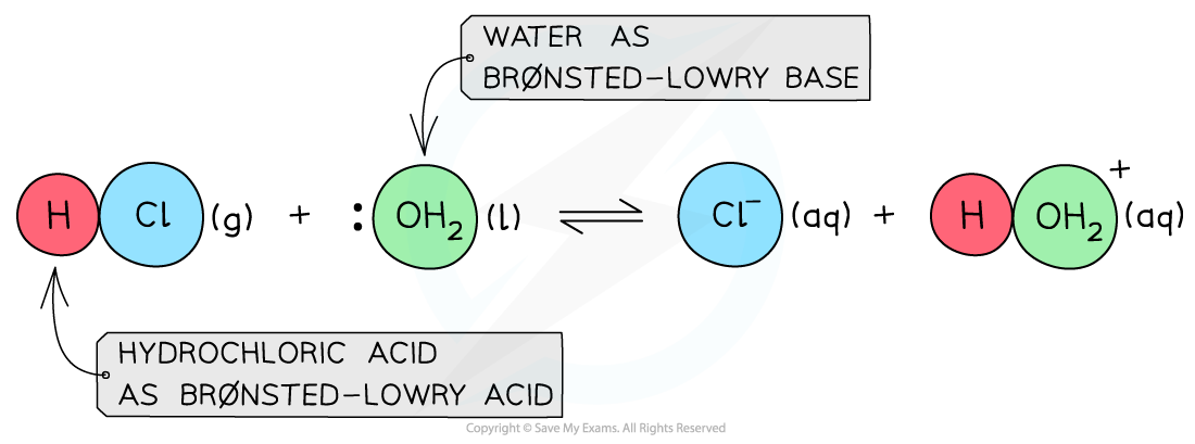 Equilibria Water as Brønsted -Lowry Base, downloadable AS & A Level Chemistry revision notes