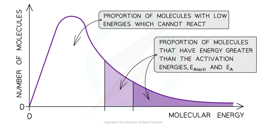 Reaction Kinetics Catalyst Boltzmann Distribution, downloadable AS & A Level Chemistry revision notes