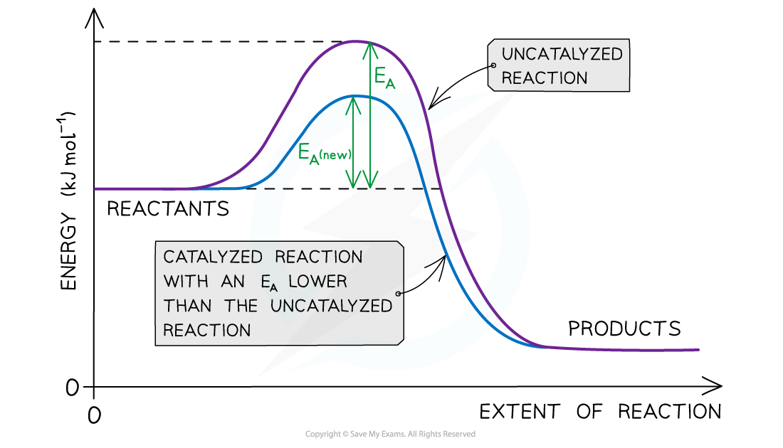 Reaction Kinetics Catalyst Reaction Pathway, downloadable AS & A Level Chemistry revision notes