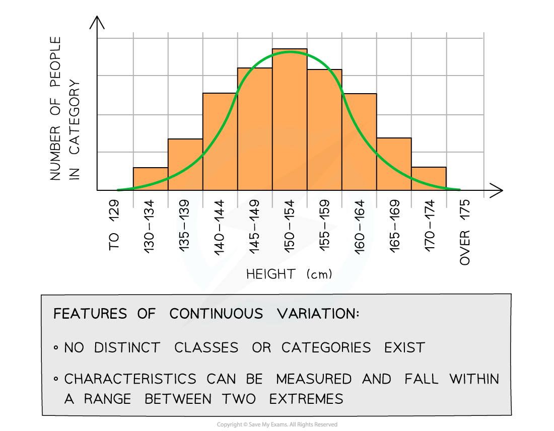 Height graph, downloadable AS & A Level Biology revision notes