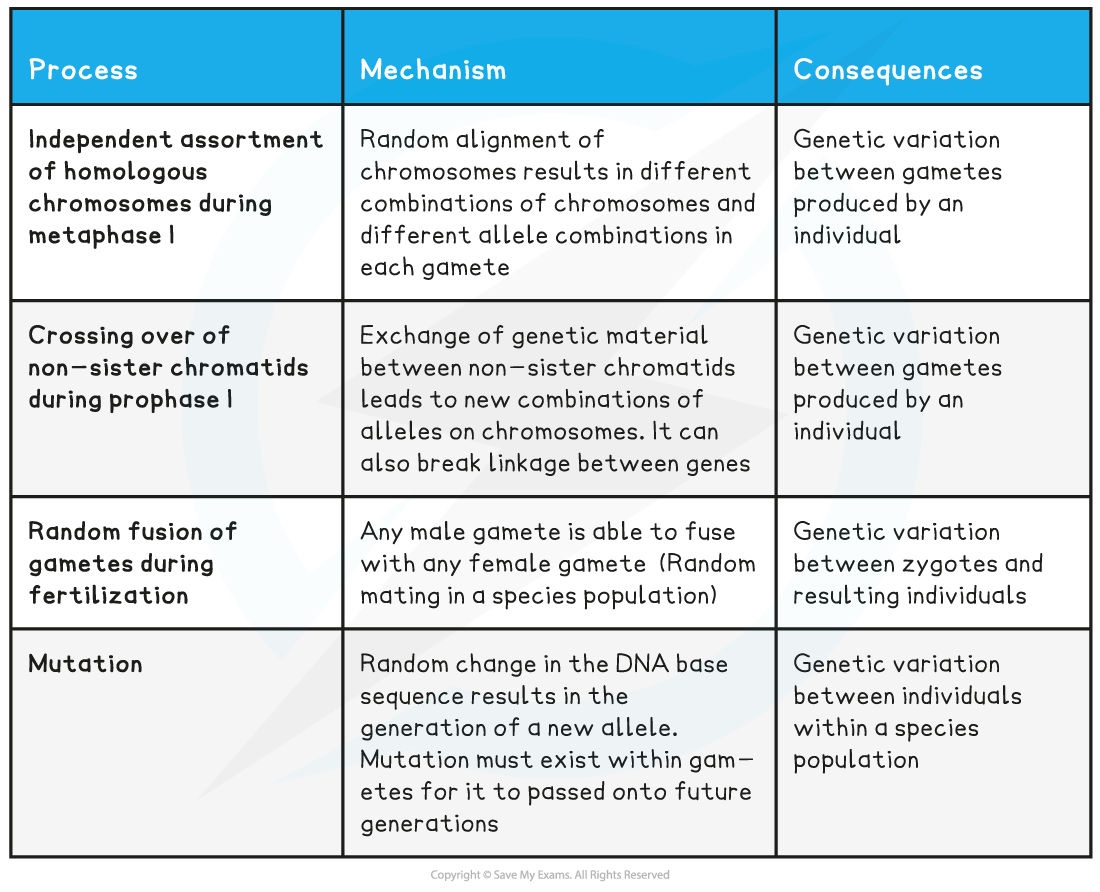 Sources of Genetic Variation Table, downloadable AS & A Level Biology revision notes