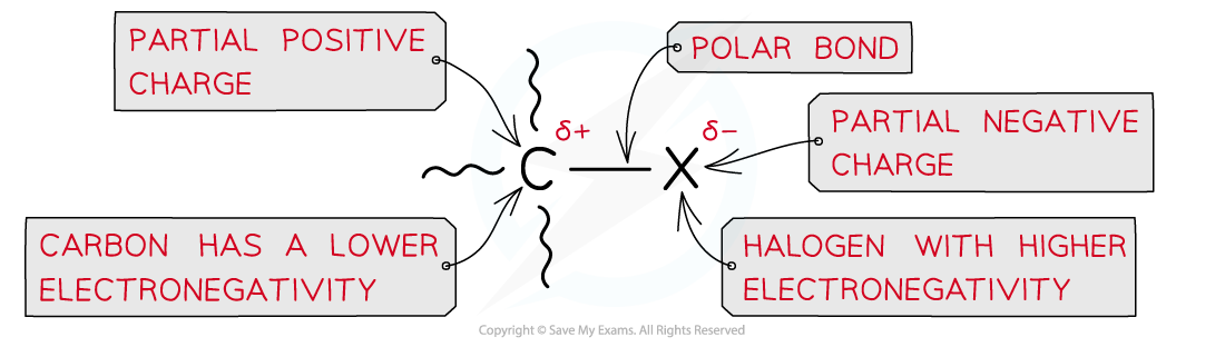 Halogen Compounds Polarity of the C-X bond, downloadable AS & A Level Chemistry revision notes