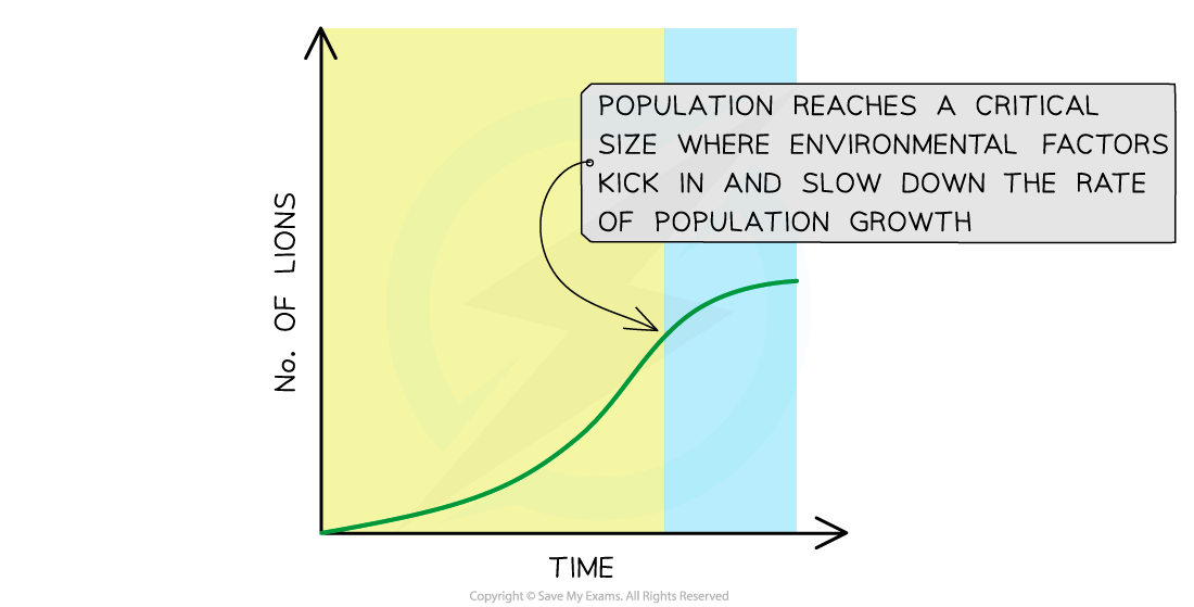 Carrying capacity graph