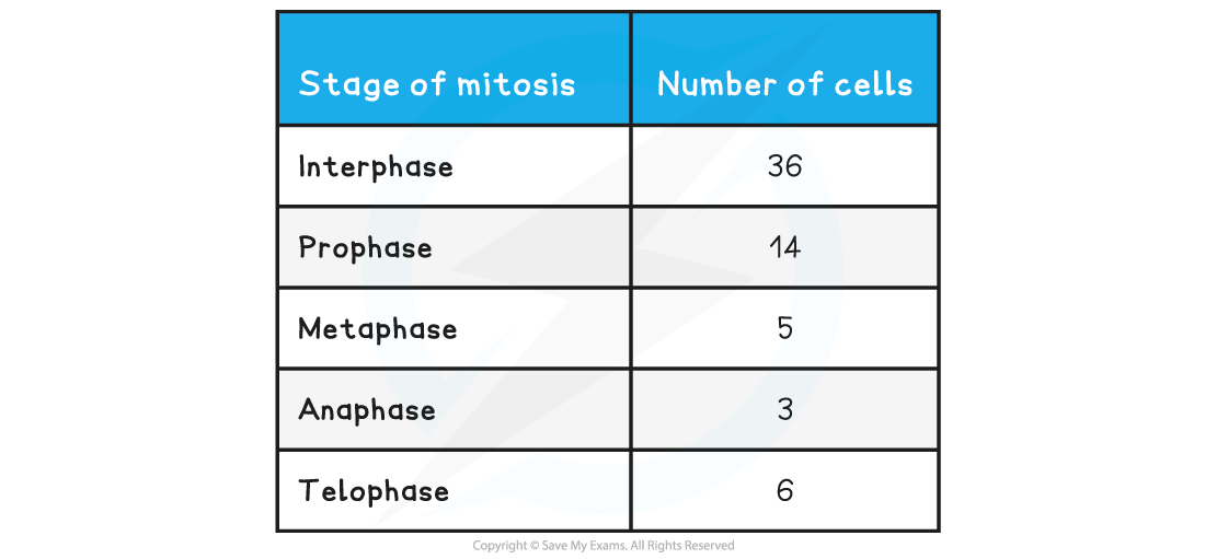 Mitotic index table, downloadable AS & A Level Biology revision notes