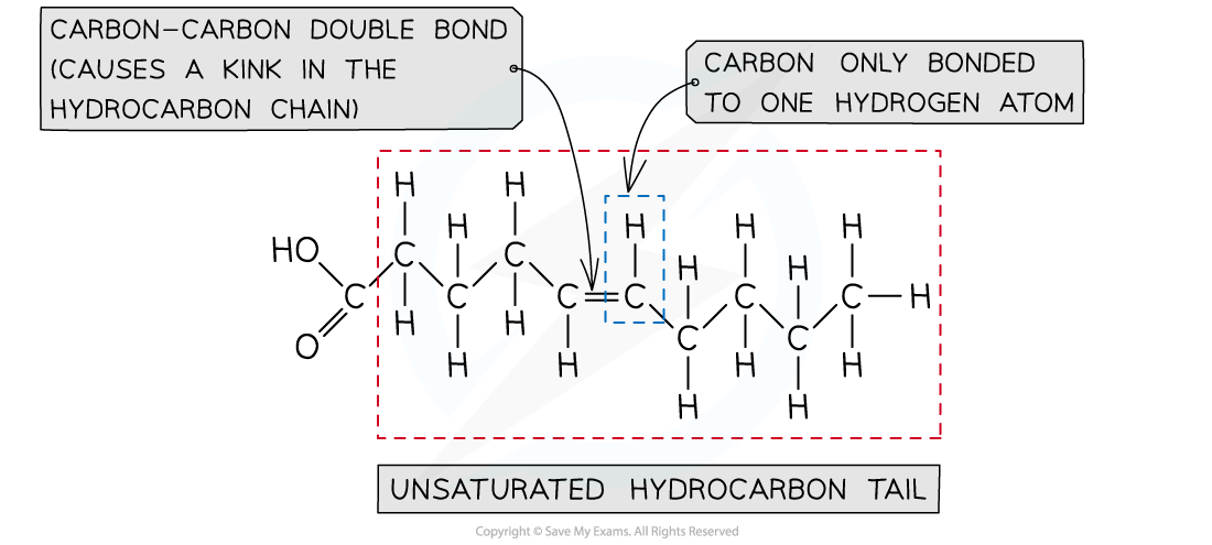 Unsaturated fatty acid