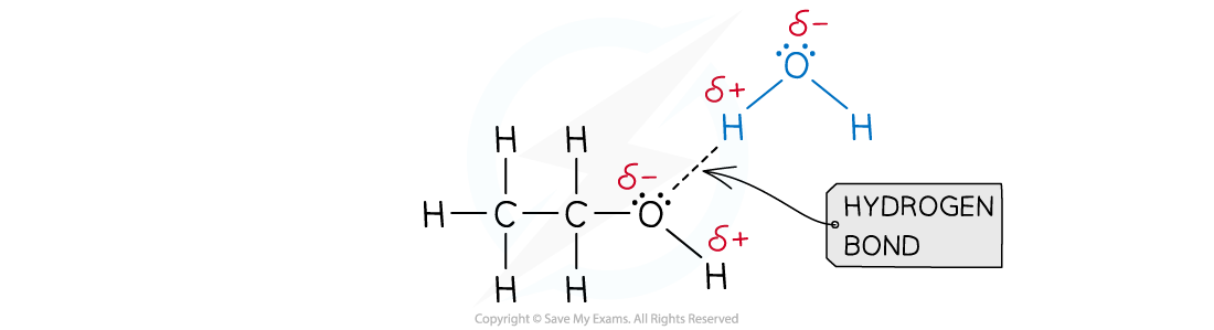 Hydrogen bonds between ethanol and water, downloadable IB Chemistry revision notes