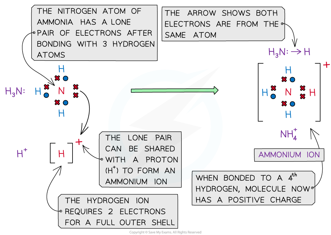 Dative Covalent Bonding Ammonium ion, downloadable IB Chemistry revision notes