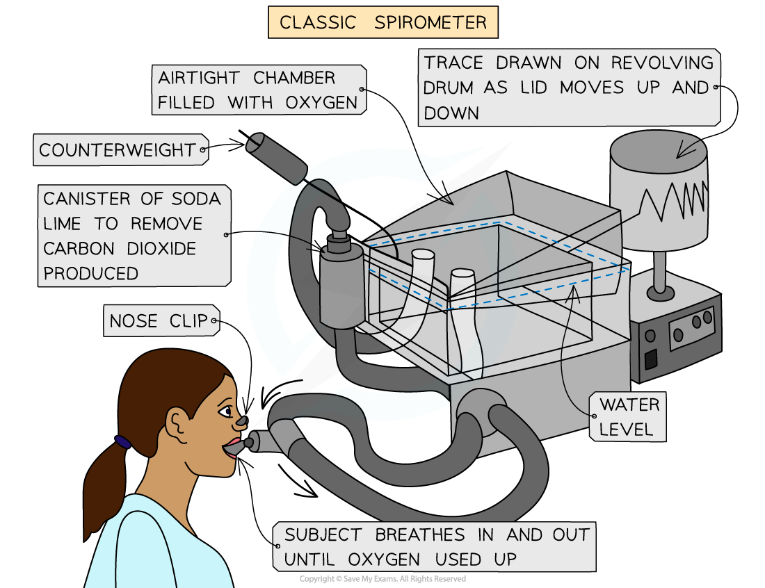 Spirometers (1), downloadable AS & A Level Biology revision notes