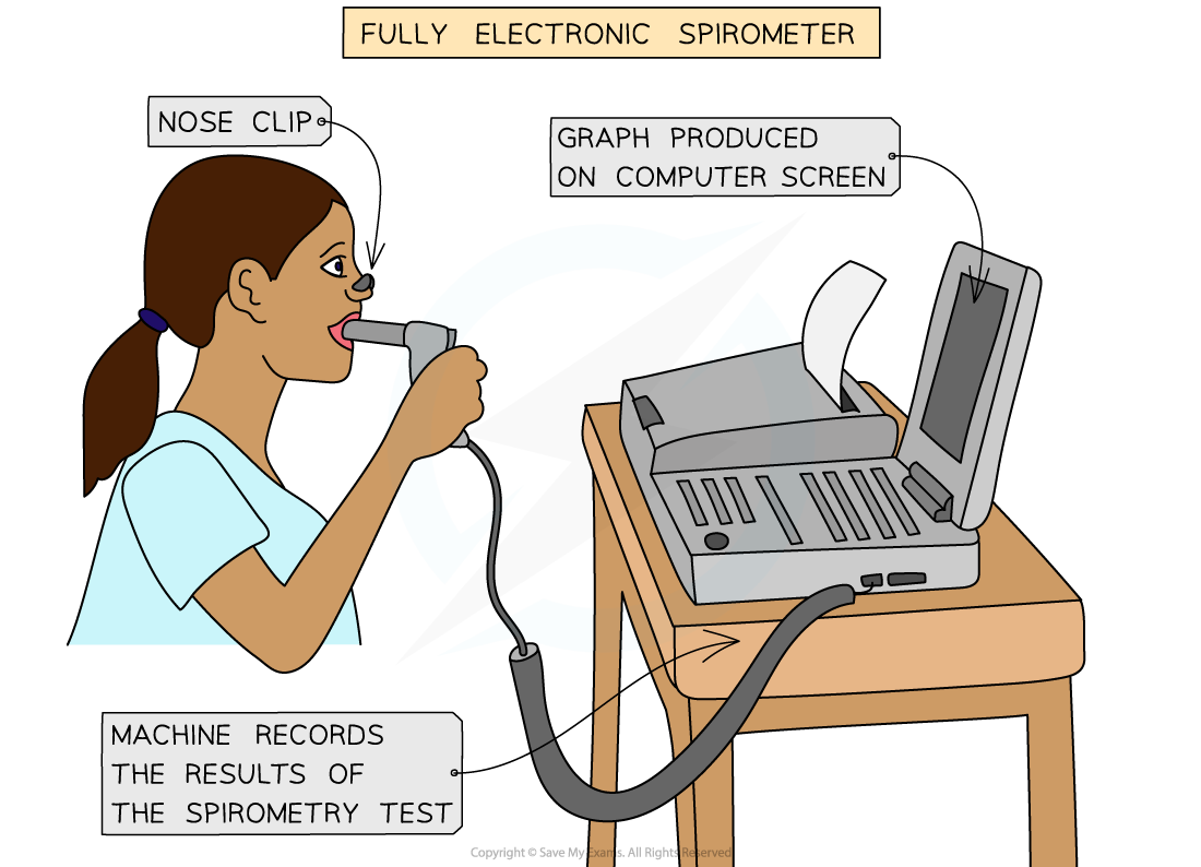 Spirometers (2), downloadable AS & A Level Biology revision notes