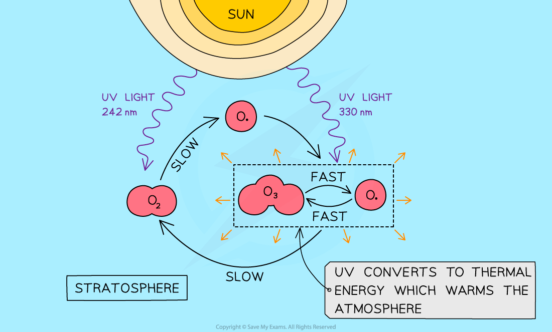 The Chapman cycle, downloadable IB Chemistry revision notes