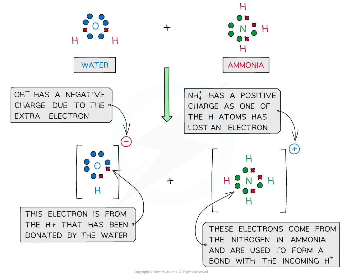 Lewis Diagram of Reaction between Water and Ammonia, downloadable IB Chemistry revision notes