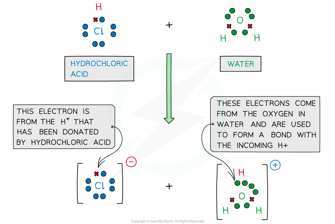 Lewis Diagram of Reaction between Water and Hydrochloric Acid, downloadable IB Chemistry revision notes