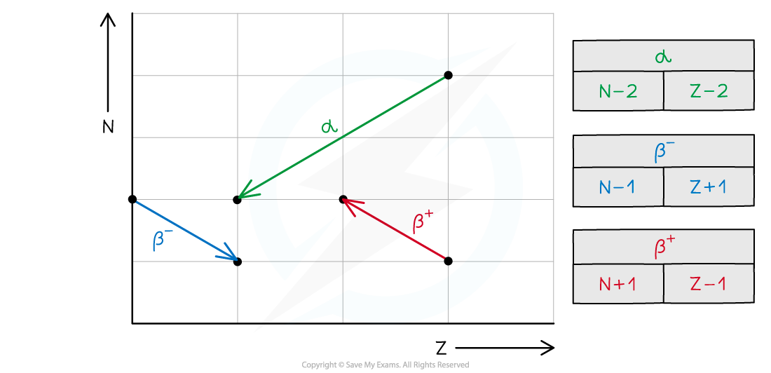 NZ Decay Graph, downloadable AS & A Level Physics revision notes