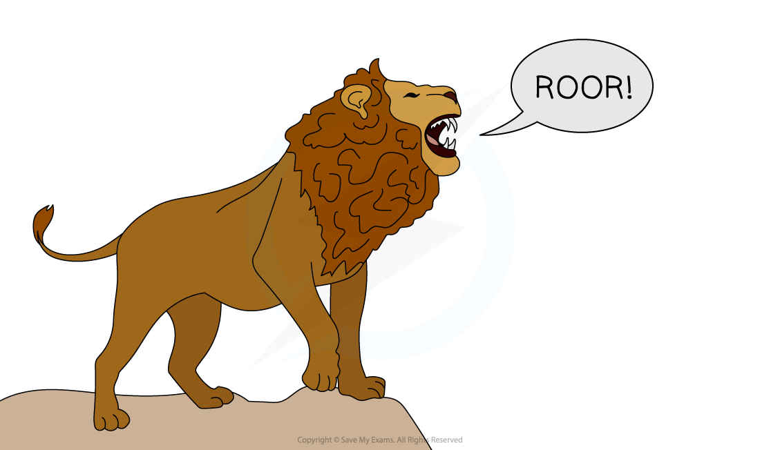 Lio the Lion, downloadable AS & A Level Chemistry revision notes