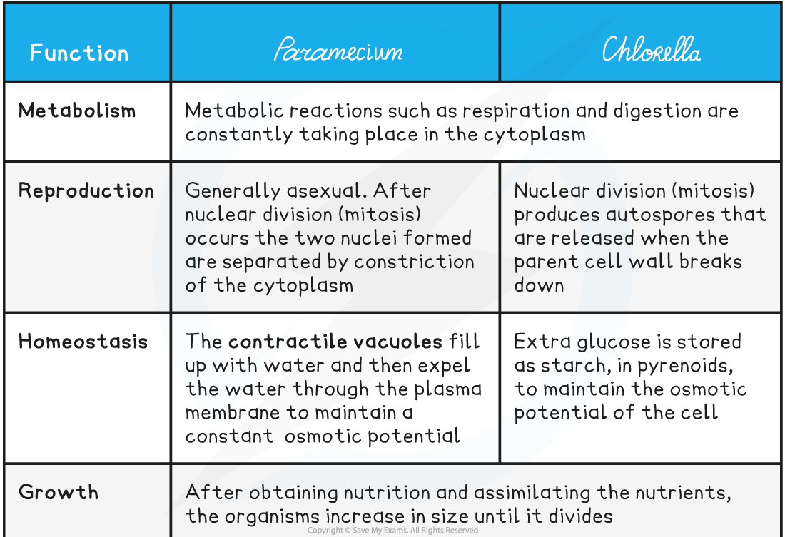 Functions of Life Table 1, downloadable IB Biology revision notes