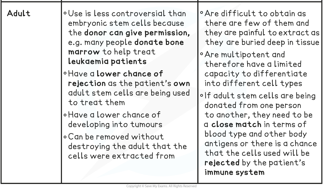 Stem Cell Ethics Table 3, downloadable IB Biology revision notes