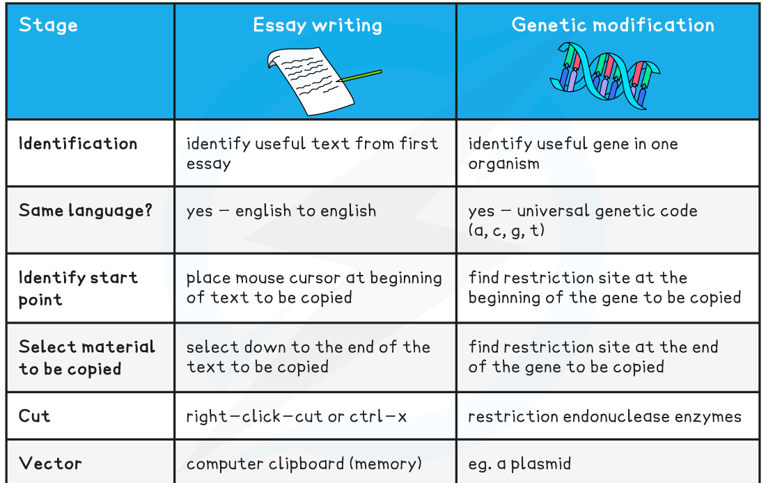 3.4.3 Genetic Modification 1, downloadable IB Biology revision notes