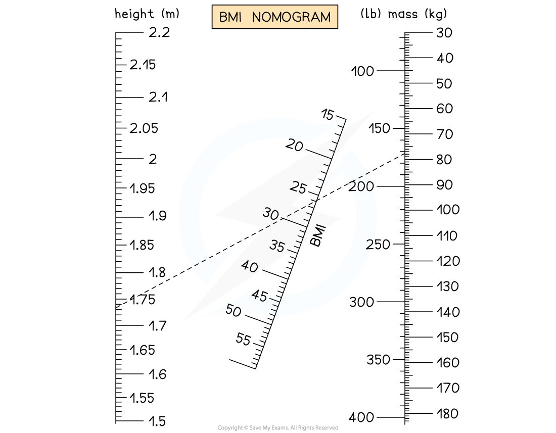 Body Mass Index Calculations, downloadable IB Biology revision notes