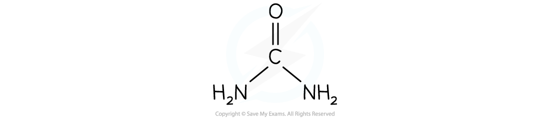 Chemical Structure of Urea, downloadable AS & A Level Biology revision notes