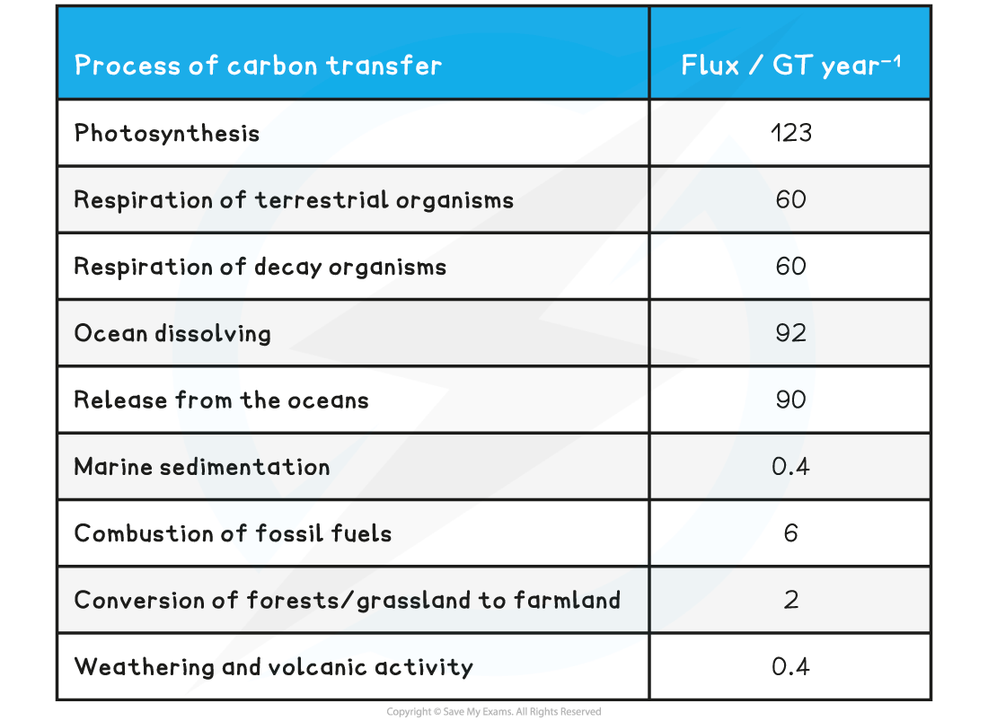 Estimated Global Yearly Carbon Fluxes Table, downloadable IB Biology revision notes