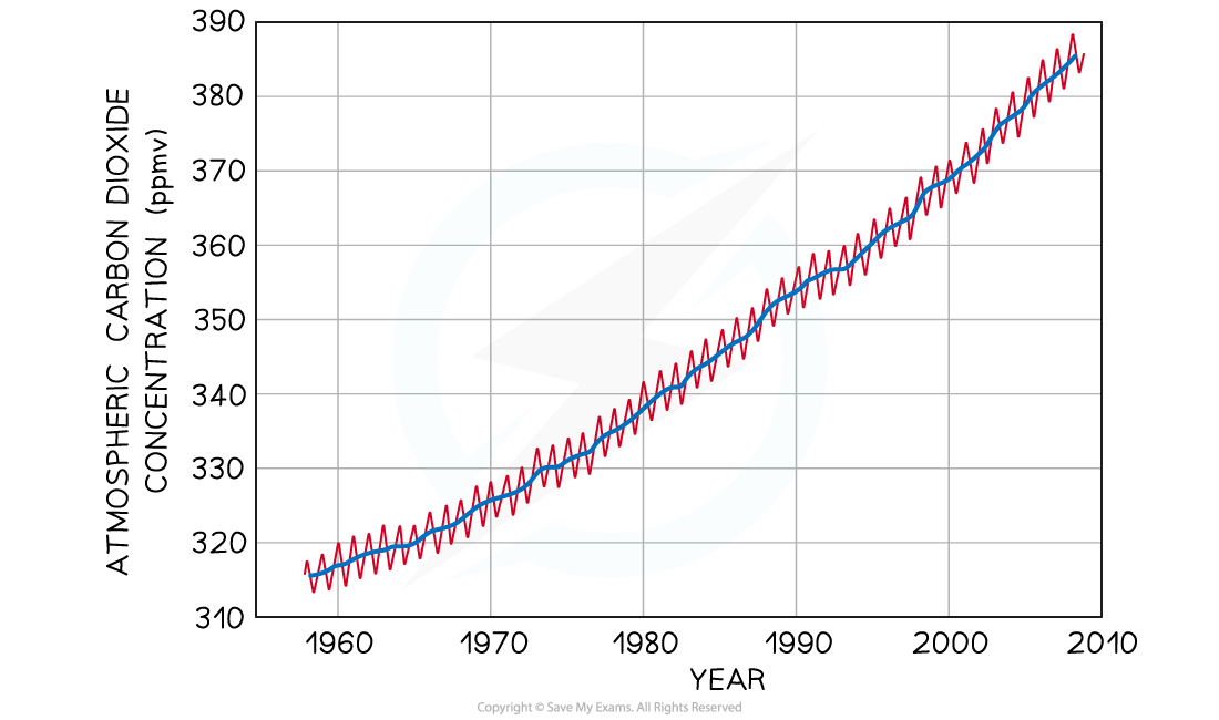 Fluctuations in Carbon Dioxide Levels, downloadable IB Biology revision notes