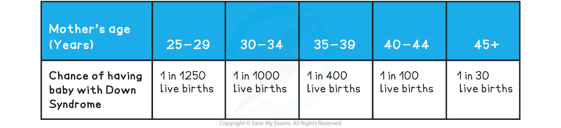 Non-disjunction, age and risk of down syndrome, downloadable IB Biology revision notes