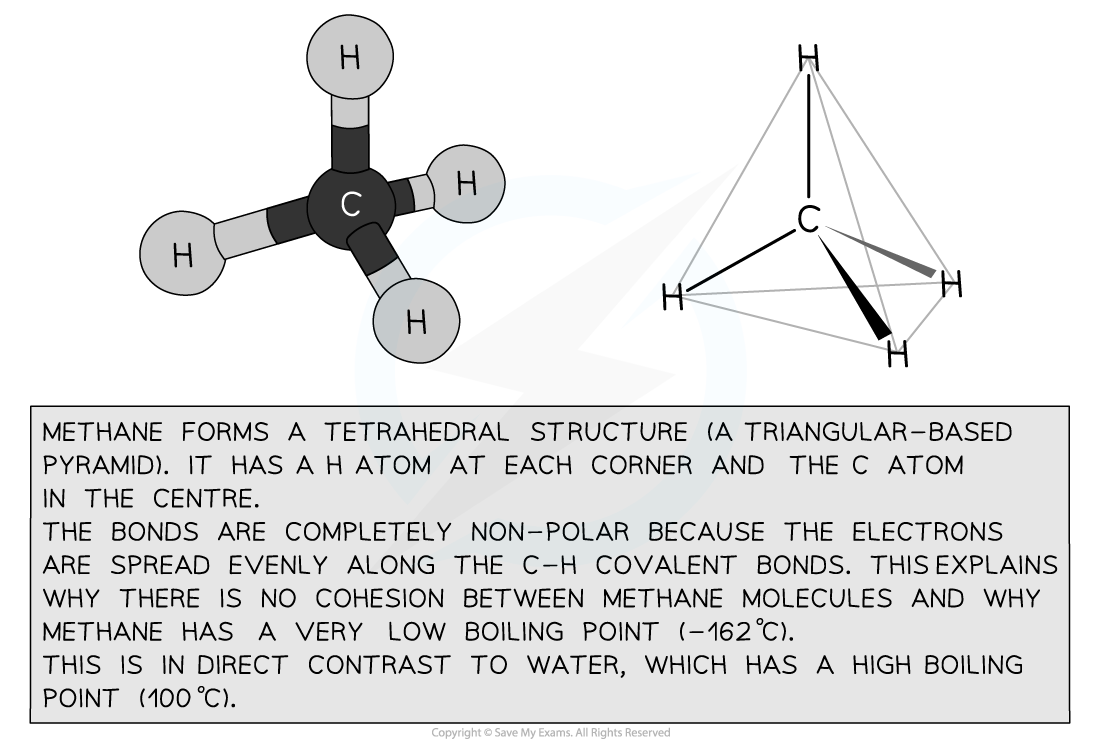 Structure of Methane, downloadable IB Biology revision notes