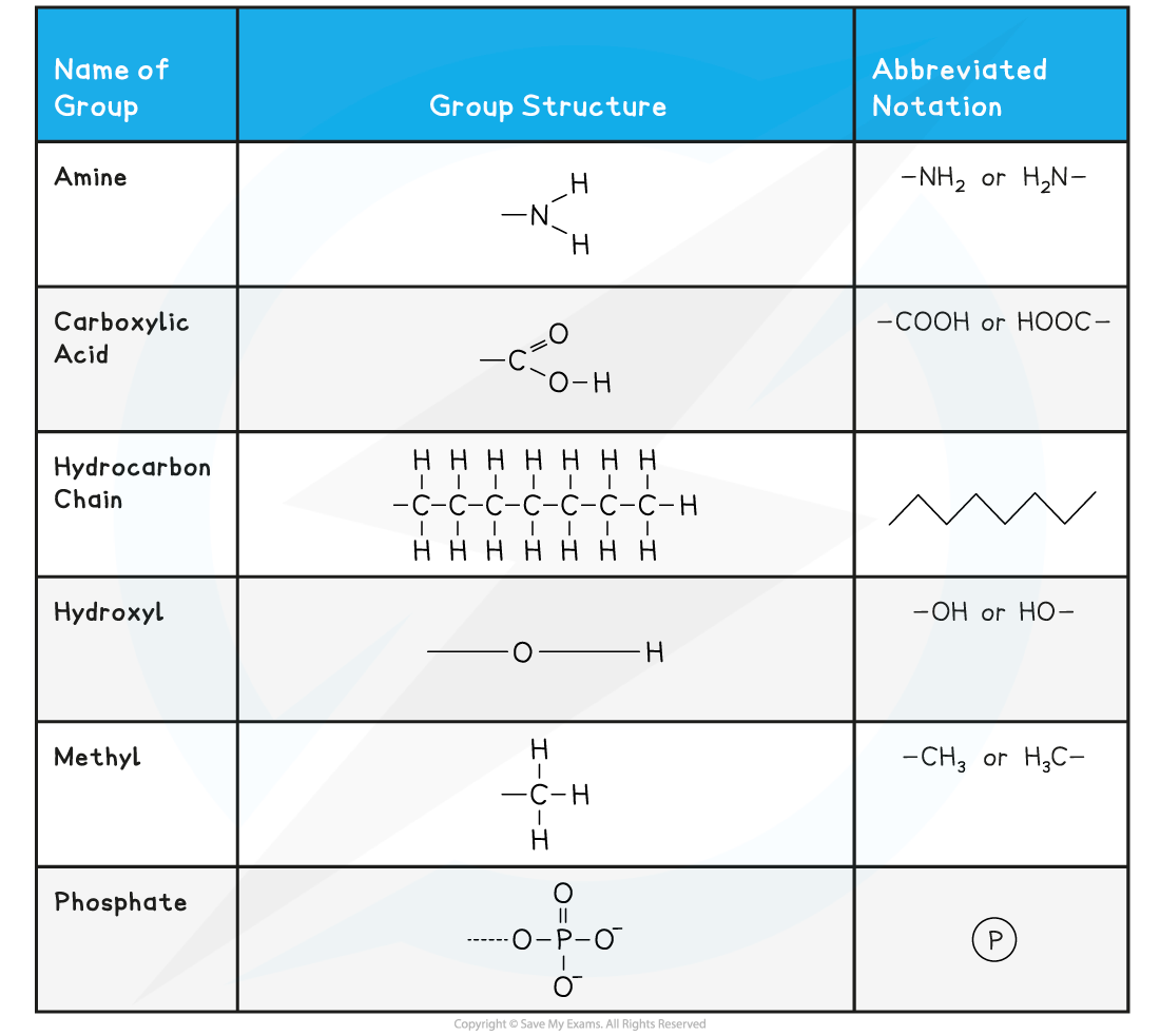 Symbols Used in Biological Molecule Drawings Table, downloadable IB Biology revision notes