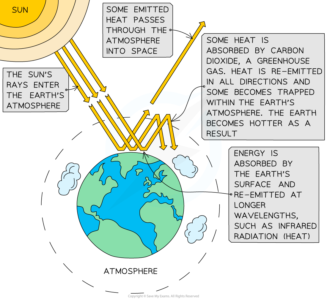 The Greenhouse Effect, downloadable IB Biology revision notes