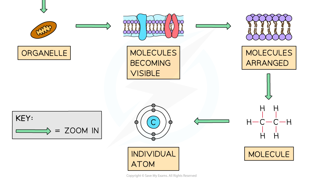 Zooming In On The Biosphere 2, downloadable AS & A Level Biology revision notes