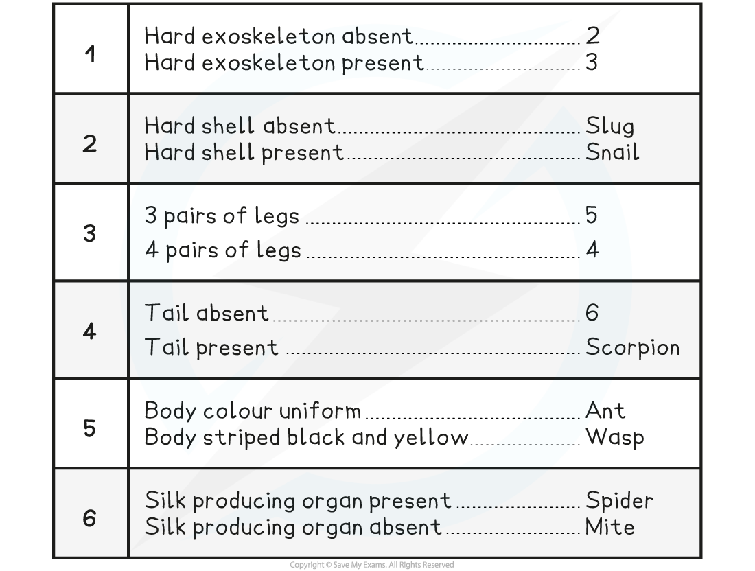 An example of a dichotomous key