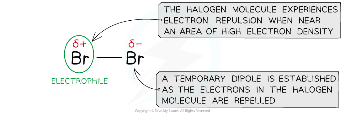 Halogen temporary dipole, downloadable IB Chemistry revision notes