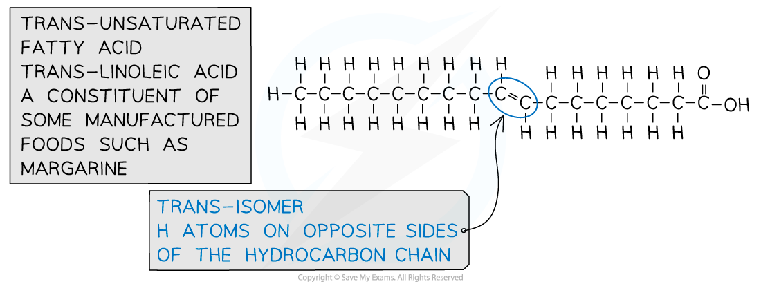 Trans- Fatty Acid Structure, downloadable IB Biology revision notes